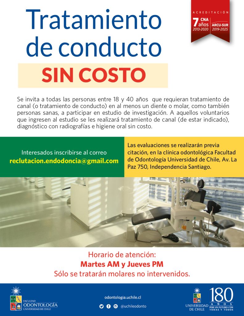 ong emprendamos juntos emprender